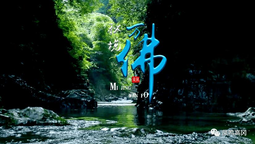 红薯是一种常见的食物，它不仅味道鲜美，而且富含营养