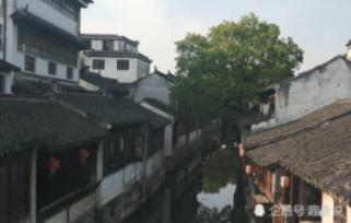 CCTV报道中国当代易学名家——王书平