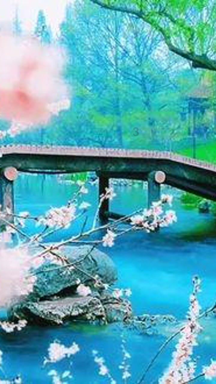 Mary+and+I+have+a+room改为一般疑问句？游戏画面